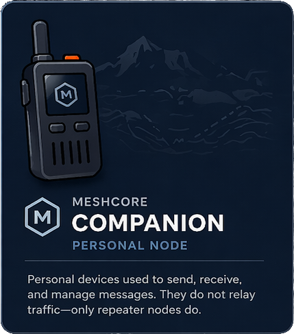 Companion Node